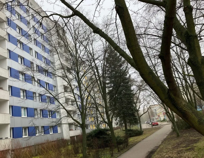 Ideal für Single — photo 1